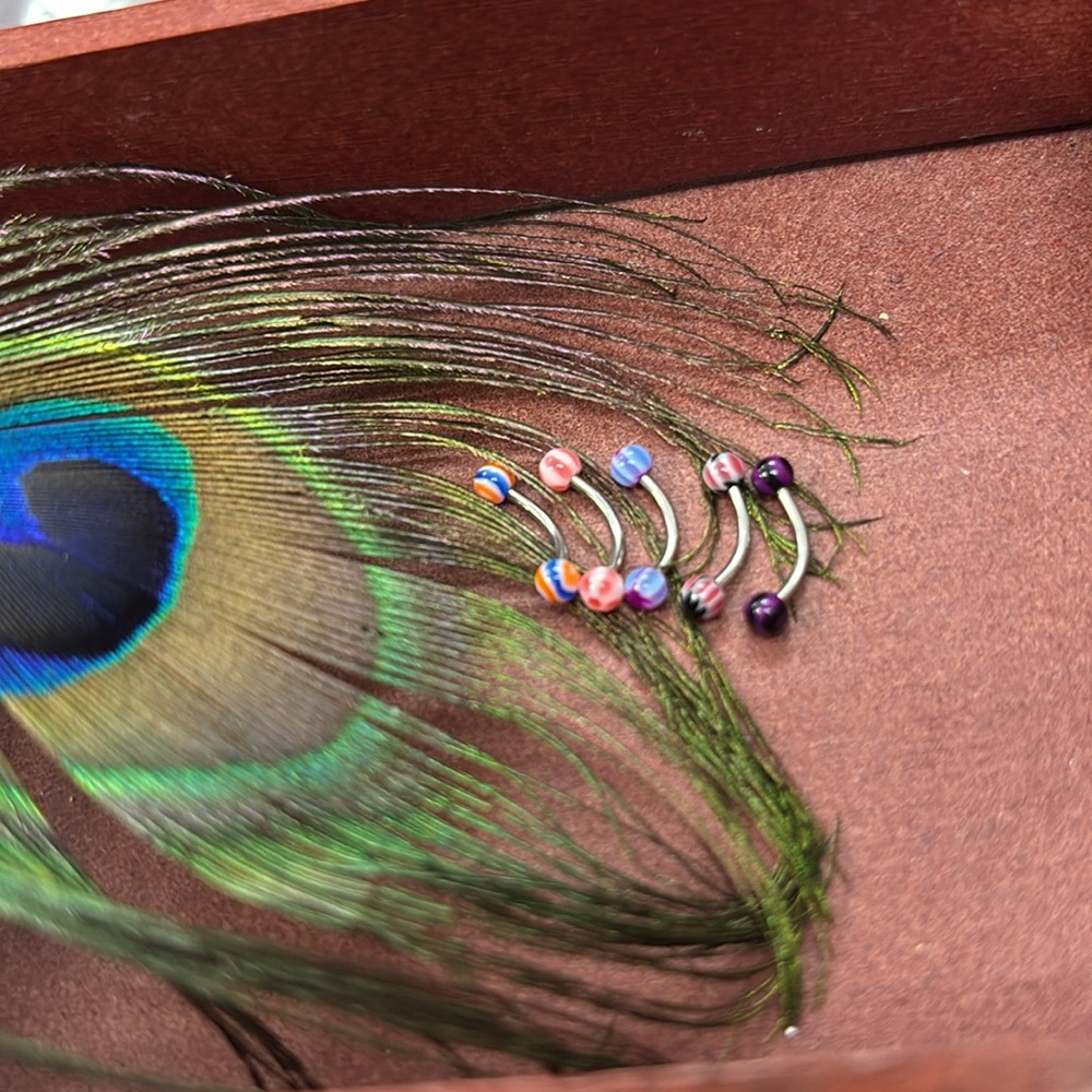 16g Curved Multi-Color Eyebrow Rings (660211) - Picture 3 of 4